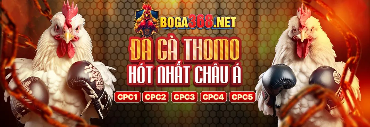 Banner khuyến mãi thể thao ok365 chính thức với các ưu đãi hấp dẫn